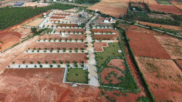 WhatsApp Image 2025-09-15 at 8.18.45 AM