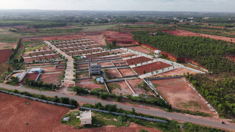 WhatsApp Image 2025-09-15 at 8.19.04 AM (1)