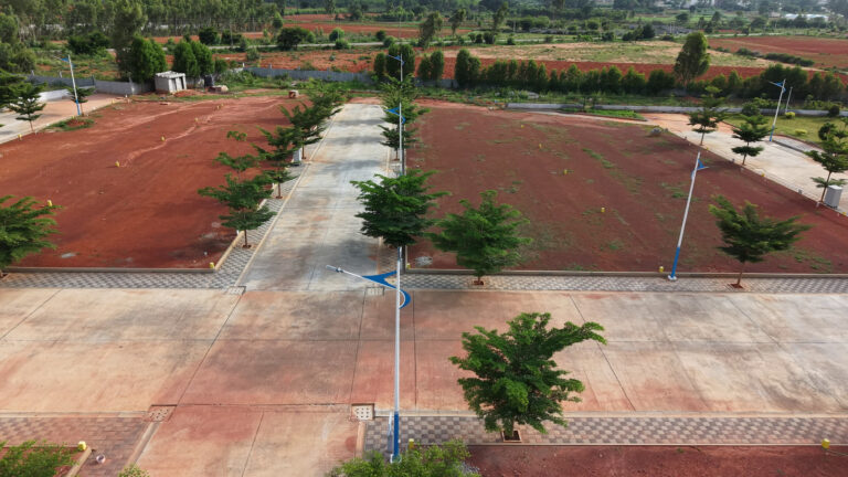 WhatsApp Image 2025-09-15 at 8.19.04 AM (2)